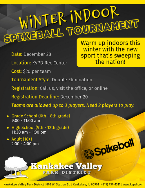 Spikeball Tournament