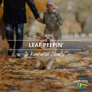 List of 6: Leaf Peepin' in Kankakee County
